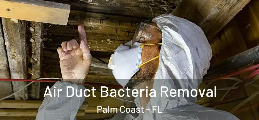 Air Duct Bacteria Removal Palm Coast - FL