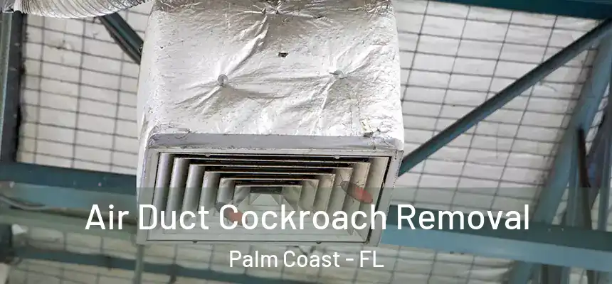 Air Duct Cockroach Removal Palm Coast - FL