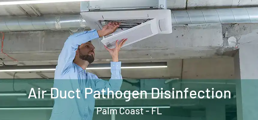 Air Duct Pathogen Disinfection Palm Coast - FL