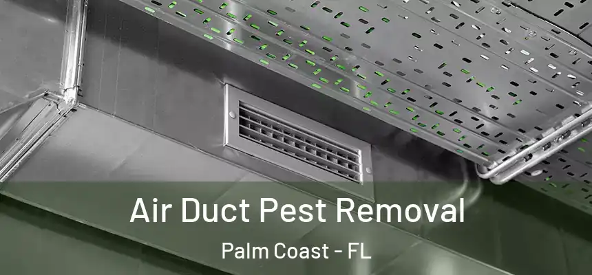 Air Duct Pest Removal Palm Coast - FL