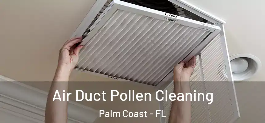 Air Duct Pollen Cleaning Palm Coast - FL