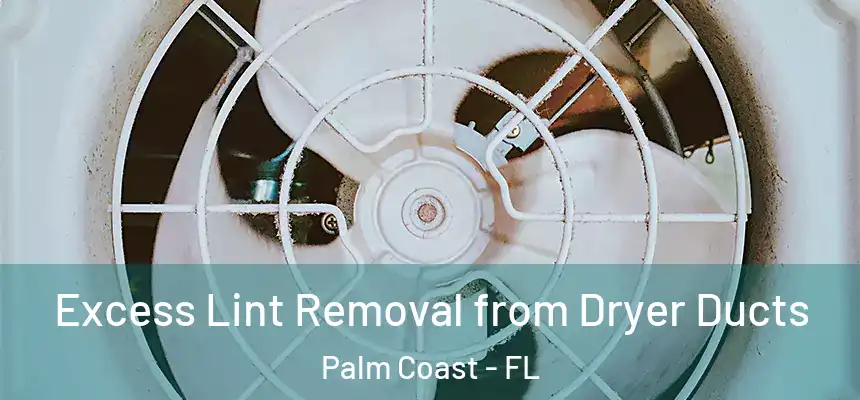 Excess Lint Removal from Dryer Ducts Palm Coast - FL