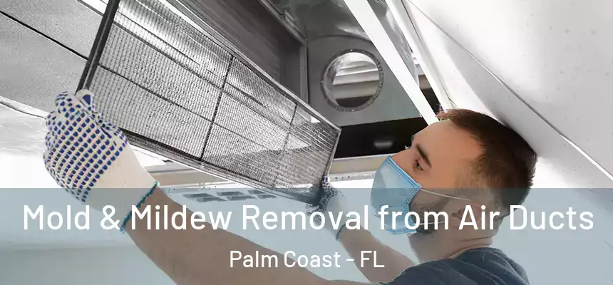 Mold & Mildew Removal from Air Ducts Palm Coast - FL