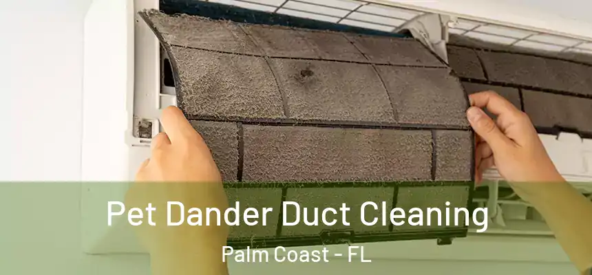 Pet Dander Duct Cleaning Palm Coast - FL