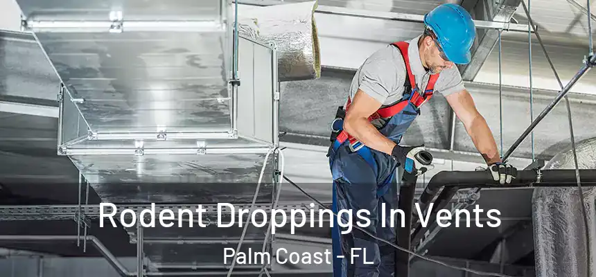 Rodent Droppings In Vents Palm Coast - FL