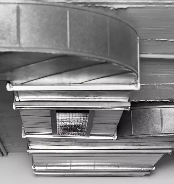 Professional Air Duct Pest Removal in Palm Coast, FL