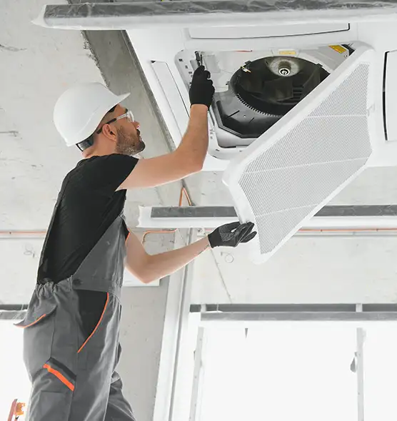 About Air Duct Rodent Removal in Palm Coast, FL