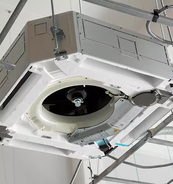 Professional Roof Vent Lint Removal Palm Coast, FL