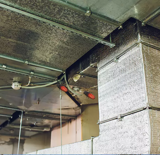 Why Homeowners & Businesses Trust Us in Palm Coast, FL?