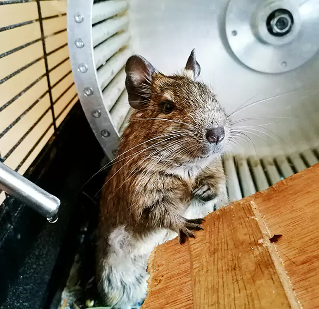 Why Homeowners & Businesses Trust Us Palm Coast, FL?