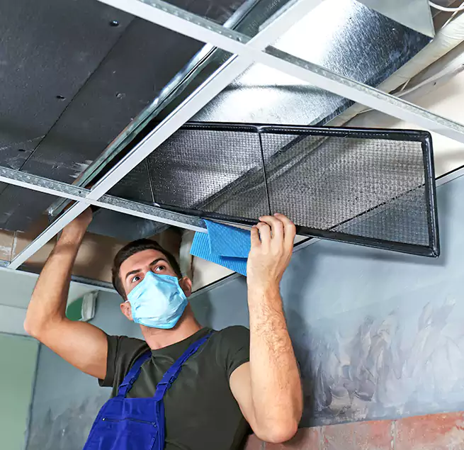 Why Homeowners Businesses Trust Us in Palm Coast, FL