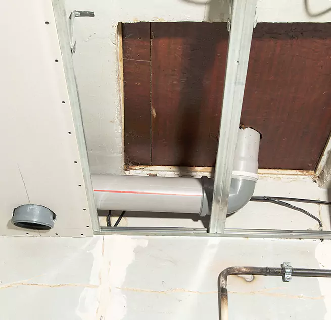 Why Homeowners & Businesses Trust Us in Palm Coast, FL?