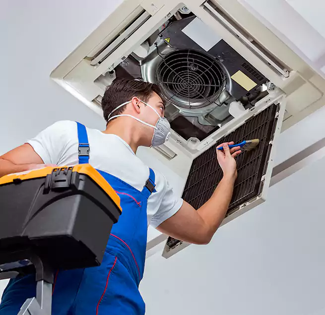 Why Homeowners & Businesses Trust Us in Palm Coast, FL