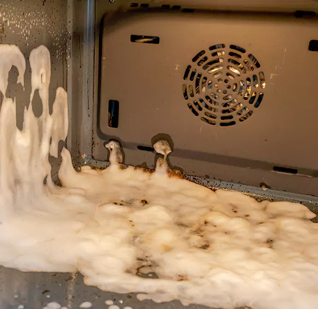 Why Homeowners & Businesses Trust Us in Palm Coast, FL?