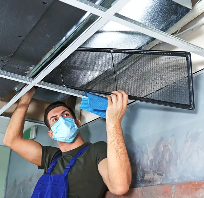 Why Homeowners & Businesses Trust Us in Palm Coast, FL?