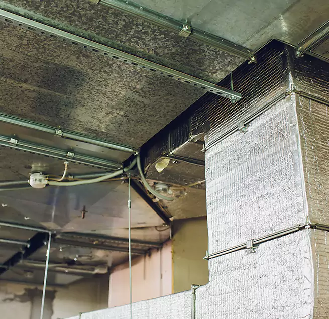 Why Homeowners & Businesses Trust Us in Palm Coast, FL?