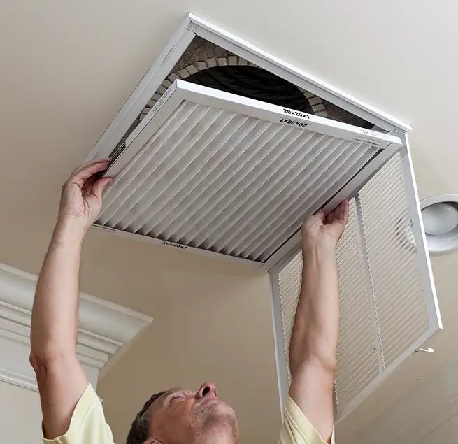 Why Homeowners & Businesses Trust Us in Palm Coast, FL?